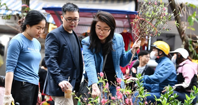 Miền Bắc sắp đón tiếp không khí lạnh, thời tiết Tết Nguyên đán 2026 ra sao?