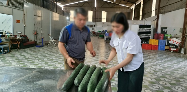 Tiết lộ khoản "hoa hồng" cho hiệu trưởng để tuồn thịt lợn bệnh vào trường học