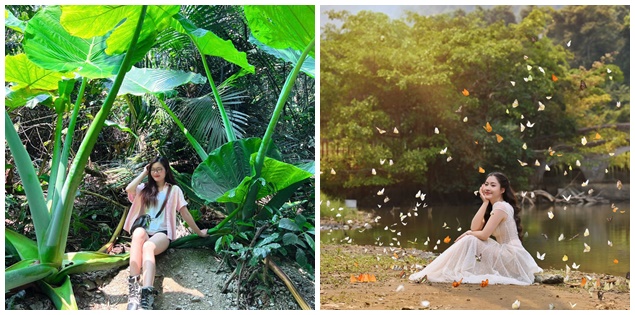 Điểm check-in ở Ninh Bình với khung cảnh như bước ra từ truyện cổ tích