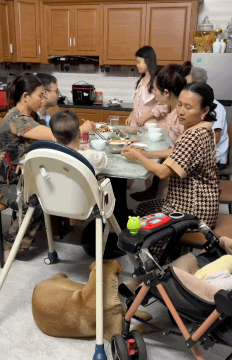 Thương con gái vất vả, mẹ đẻ từ Nghệ An ra Hà Nội sống chung nhà thông gia chăm cháu