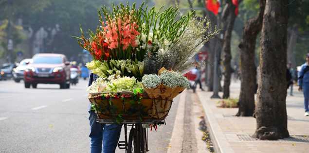 Dự báo thời tiết 4/5/2026: Miền Bắc 'mát lịm', Trung Bộ có nơi mưa to