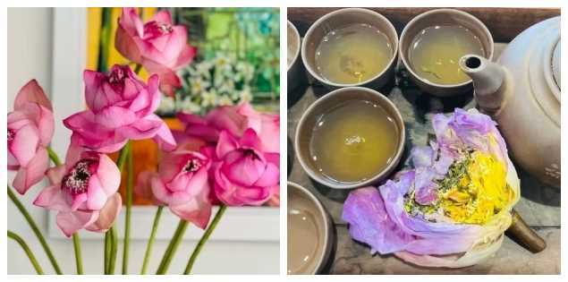 Sen - nguồn cảm hứng trong ẩm thực Việt