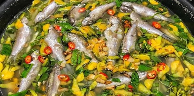 Loại cá chỉ có theo mùa nước nổi, ví là "vàng dưới nước" ở miền Tây