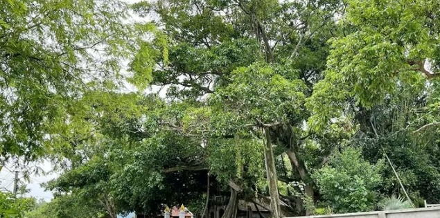 Độc đáo “làng nói phét”