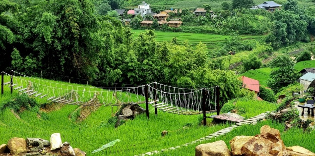 Sa Pa mùa lúa xanh tháng 7: Vẻ đẹp bình yên của những thửa ruộng bậc thang