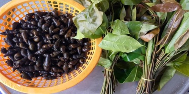 Những món canh dân dã “khó đụng hàng” của người dân xứ Quảng