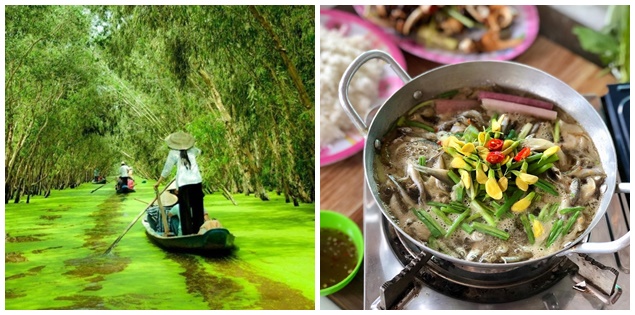 Du lịch miền Tây mùa nước nổi cảm nhận vẻ đẹp trù phú của thiên nhiên

