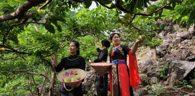 Thái Nguyên đưa nông sản thành điểm hẹn du lịch