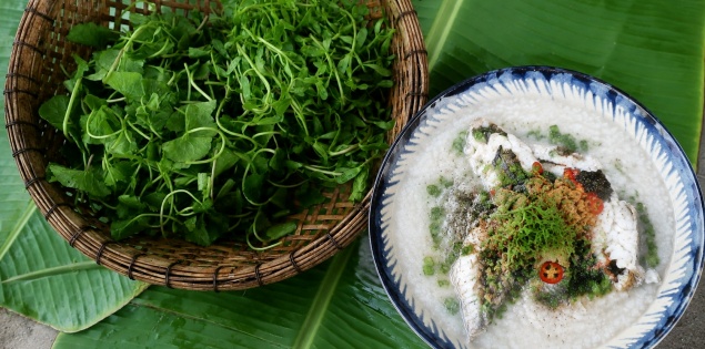 Cháo cá lóc rau đắng đặc trưng của miền Tây sông nước